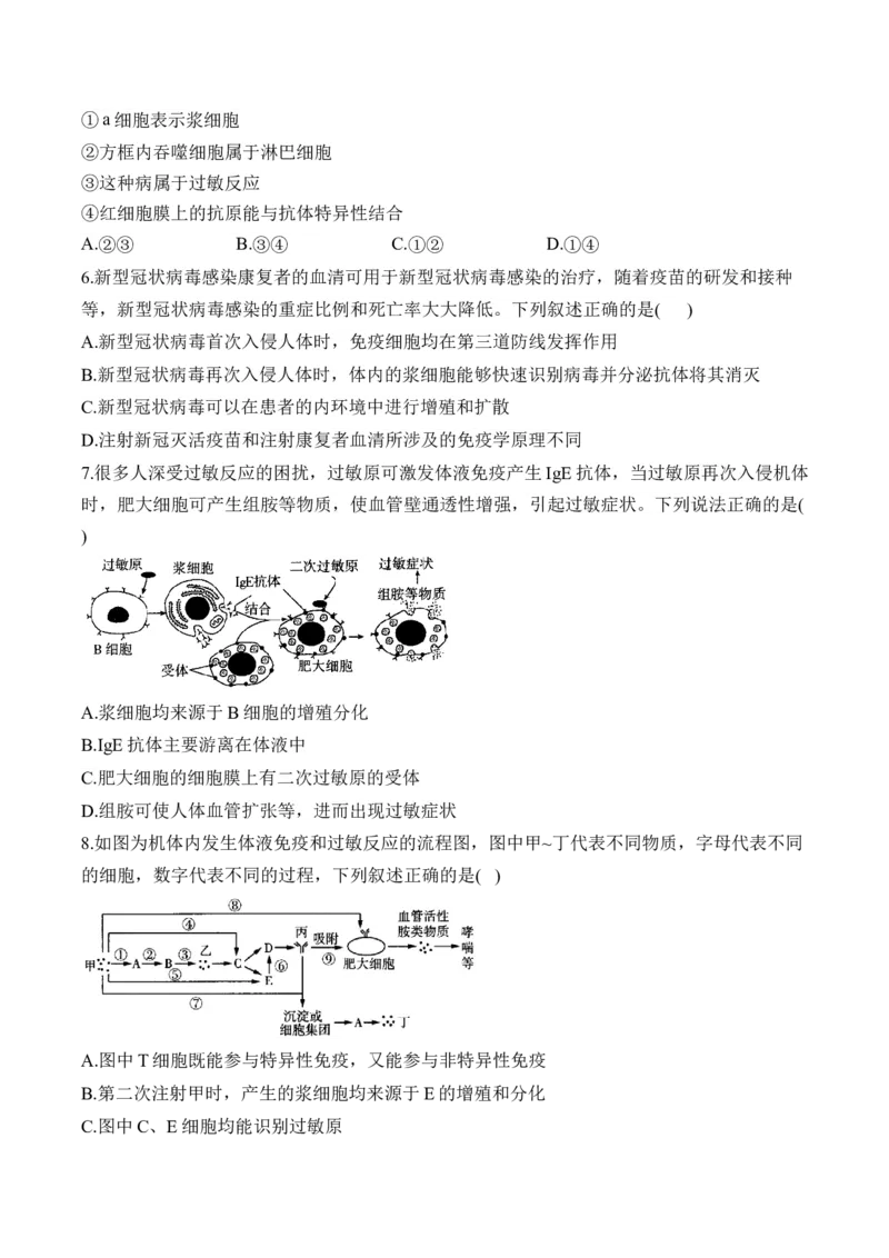 （18）免疫调节&mdash;&mdash;2025届高考生物二轮复习易错重难提升学案（含解析）_2025年新高考资料_二轮复习_2025届高考生物二轮复习易错重难提升（含解析）