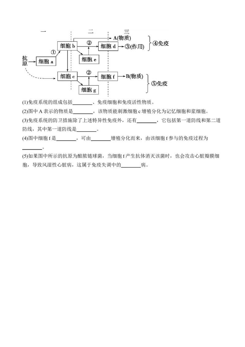 （18）免疫调节&mdash;&mdash;2025届高考生物二轮复习易错重难提升学案（含解析）_2025年新高考资料_二轮复习_2025届高考生物二轮复习易错重难提升（含解析）