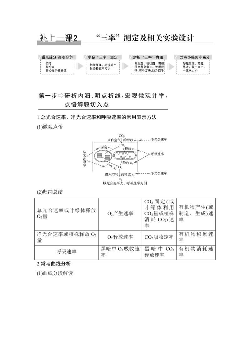 补上一课2&ldquo;三率&rdquo;测定及相关实验设计_新高考复习资料_2022年新高考复习资料_2022年一轮复习最新版_1.2022年高考生物一轮复习全国通用版_2022年新高考生物一轮复习讲义（最新版）