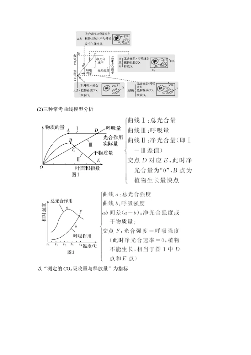 补上一课2&ldquo;三率&rdquo;测定及相关实验设计_新高考复习资料_2022年新高考复习资料_2022年一轮复习最新版_1.2022年高考生物一轮复习全国通用版_2022年新高考生物一轮复习讲义（最新版）