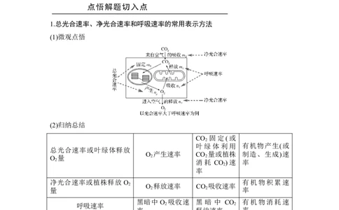 补上一课2&ldquo;三率&rdquo;测定及相关实验设计_新高考复习资料_2022年新高考复习资料_2022年一轮复习最新版_1.2022年高考生物一轮复习全国通用版_2022年新高考生物一轮复习讲义（最新版）
