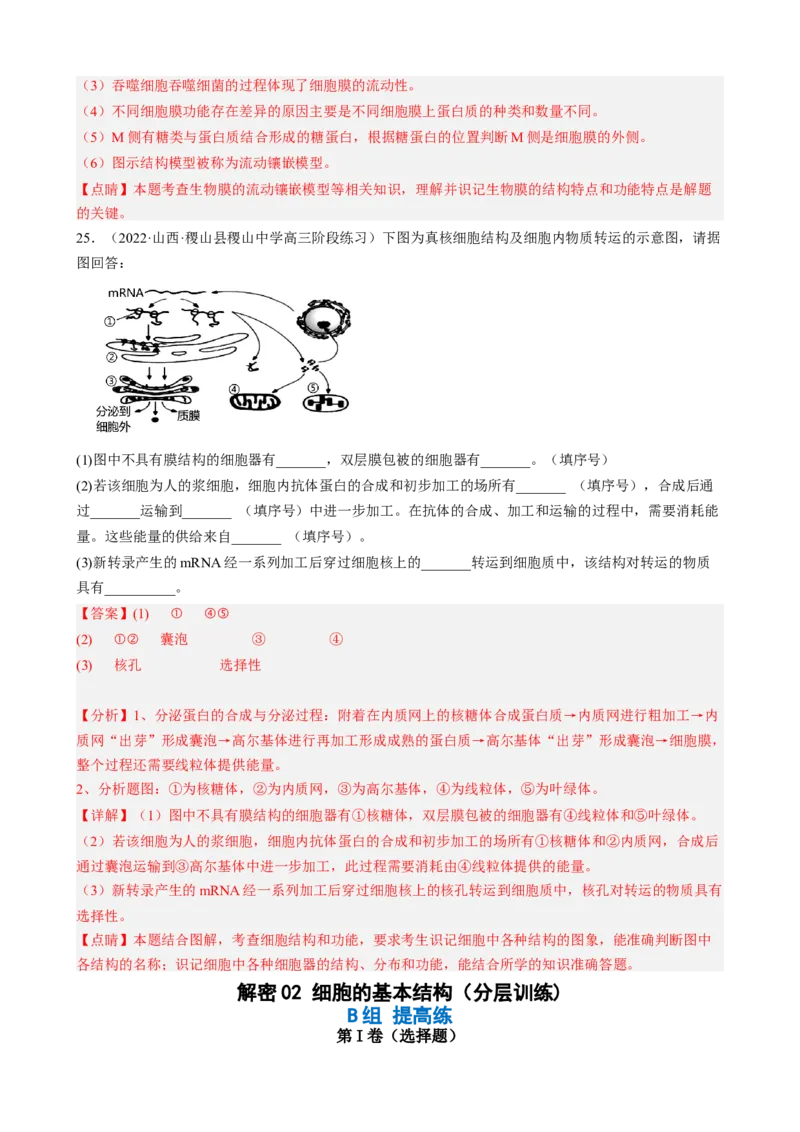 解密02细胞的基本结构（分层训练)（解析版）_新高考复习资料_2023年新高考复习资料_二轮复习_高频考点解密2023年高考生物二轮复习讲义+分层训练（全国通用）288808838