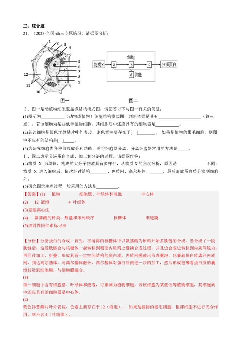 解密02细胞的基本结构（分层训练)（解析版）_新高考复习资料_2023年新高考复习资料_二轮复习_高频考点解密2023年高考生物二轮复习讲义+分层训练（全国通用）288808838
