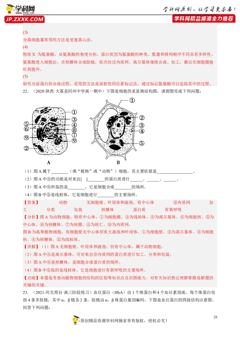 解密02细胞的基本结构（分层训练)（解析版）_新高考复习资料_2023年新高考复习资料_二轮复习_高频考点解密2023年高考生物二轮复习讲义+分层训练（全国通用）288808838