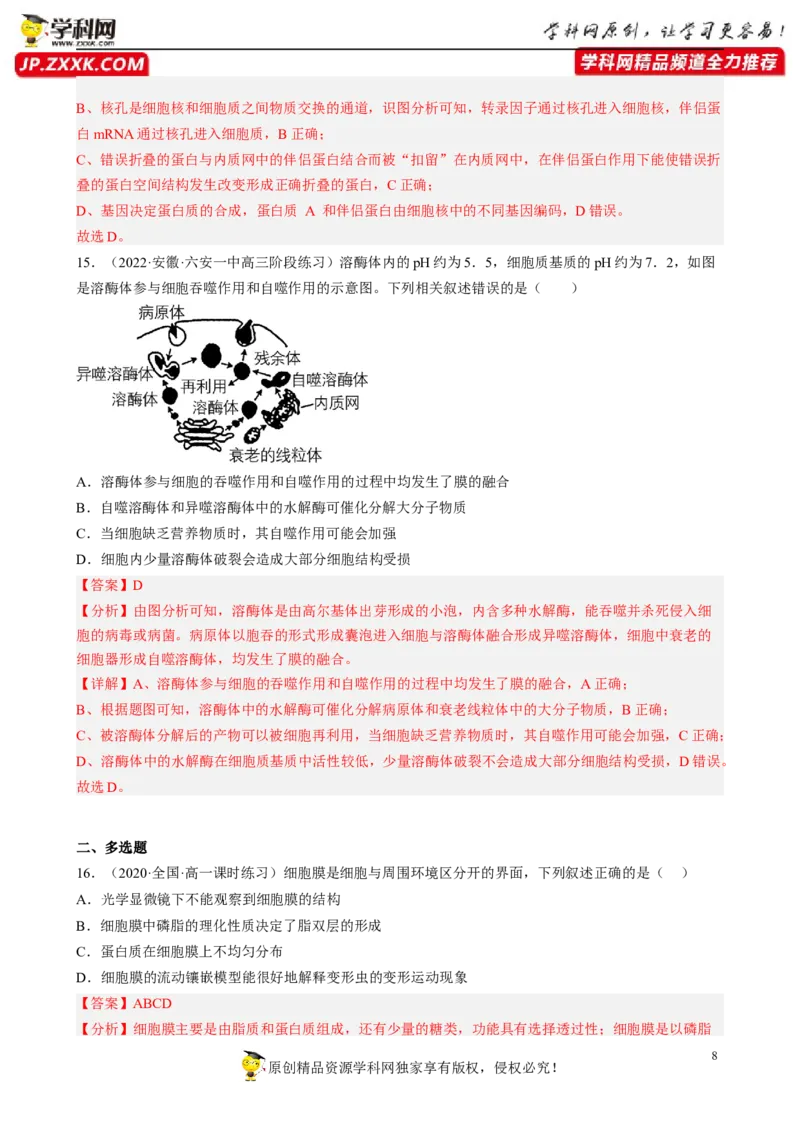 解密02细胞的基本结构（分层训练)（解析版）_新高考复习资料_2023年新高考复习资料_二轮复习_高频考点解密2023年高考生物二轮复习讲义+分层训练（全国通用）288808838