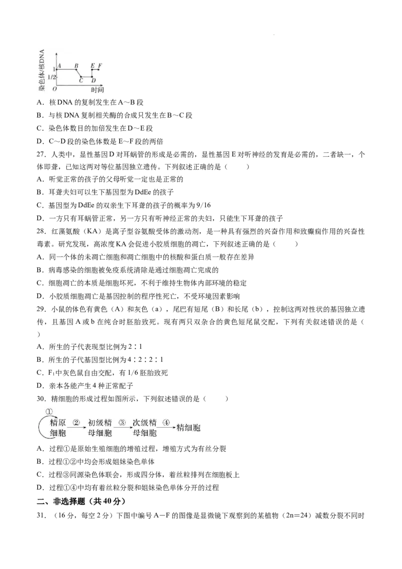 试卷甘肃西北师范大学附属中学2025&mdash;2026学年第二学期第一次月考考试试题高一生物_2026年04月高一试卷