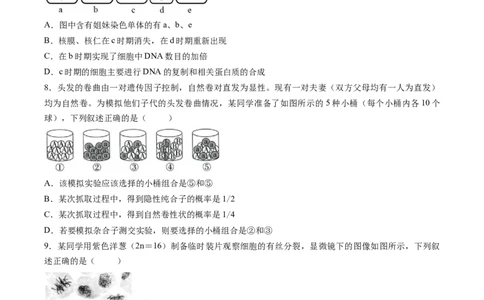 试卷甘肃西北师范大学附属中学2025&mdash;2026学年第二学期第一次月考考试试题高一生物_2026年04月高一试卷
