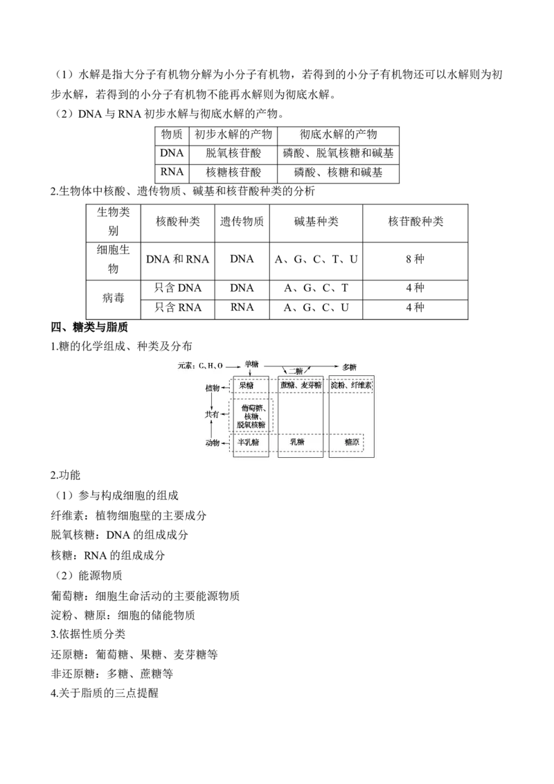 （1）细胞的分子组成&mdash;&mdash;2025届高考生物二轮复习易错重难提升（含解析）_2025年新高考资料_二轮复习_2025届高考生物二轮复习易错重难提升（含解析）
