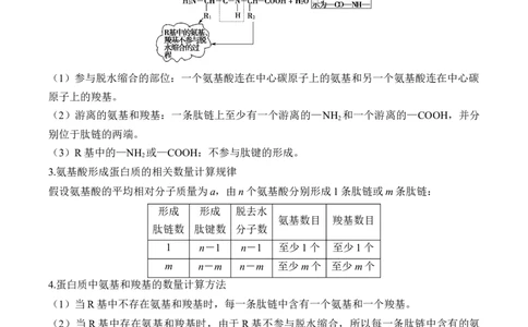 （1）细胞的分子组成&mdash;&mdash;2025届高考生物二轮复习易错重难提升（含解析）_2025年新高考资料_二轮复习_2025届高考生物二轮复习易错重难提升（含解析）