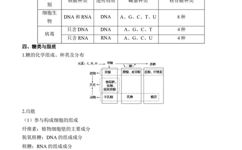 （1）细胞的分子组成&mdash;&mdash;2025届高考生物二轮复习易错重难提升（含解析）_2025年新高考资料_二轮复习_2025届高考生物二轮复习易错重难提升（含解析）