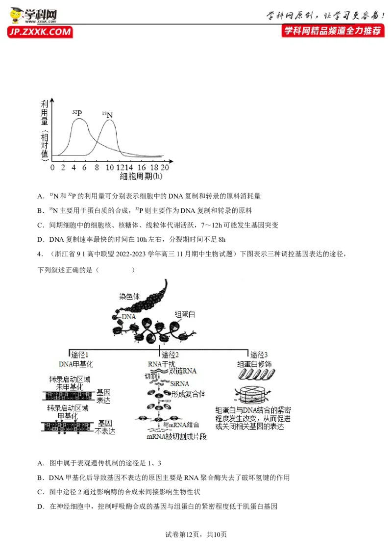 解密08遗传的分子学基础（分层训练)（原卷版）_新高考复习资料_2023年新高考复习资料_二轮复习_高频考点解密2023年高考生物二轮复习讲义+分层训练（全国通用）288808838