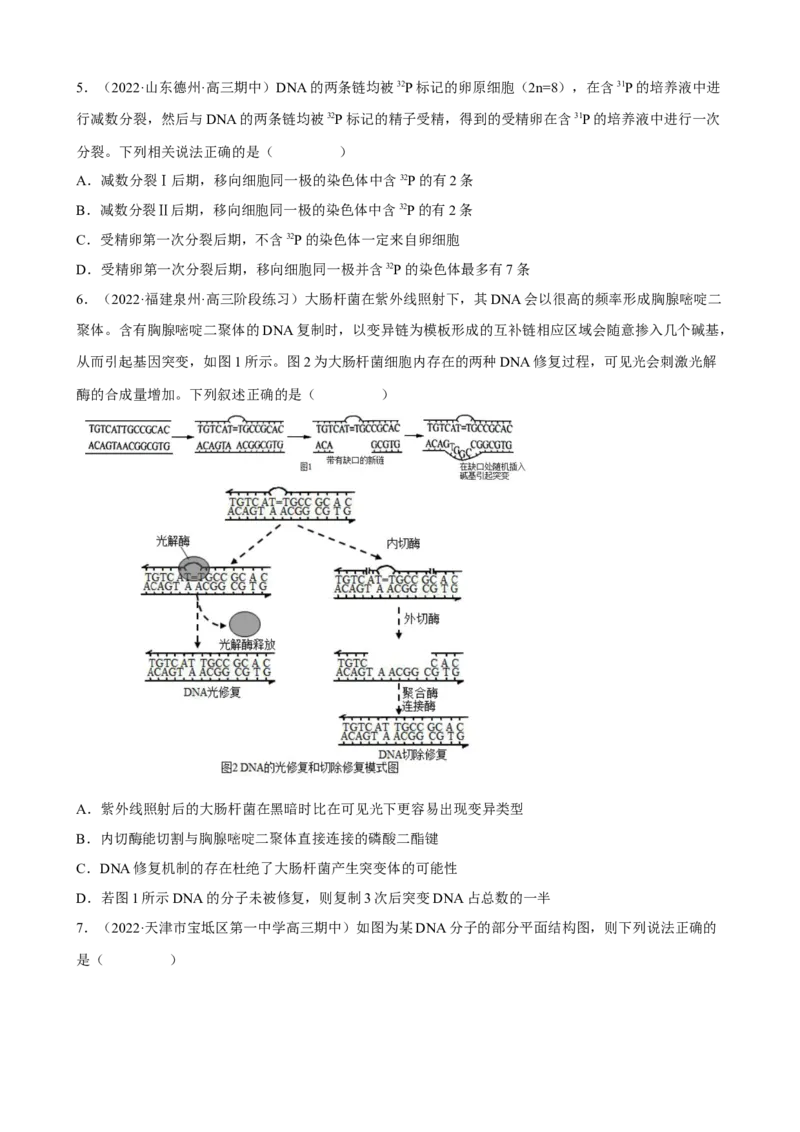 解密08遗传的分子学基础（分层训练)（原卷版）_新高考复习资料_2023年新高考复习资料_二轮复习_高频考点解密2023年高考生物二轮复习讲义+分层训练（全国通用）288808838