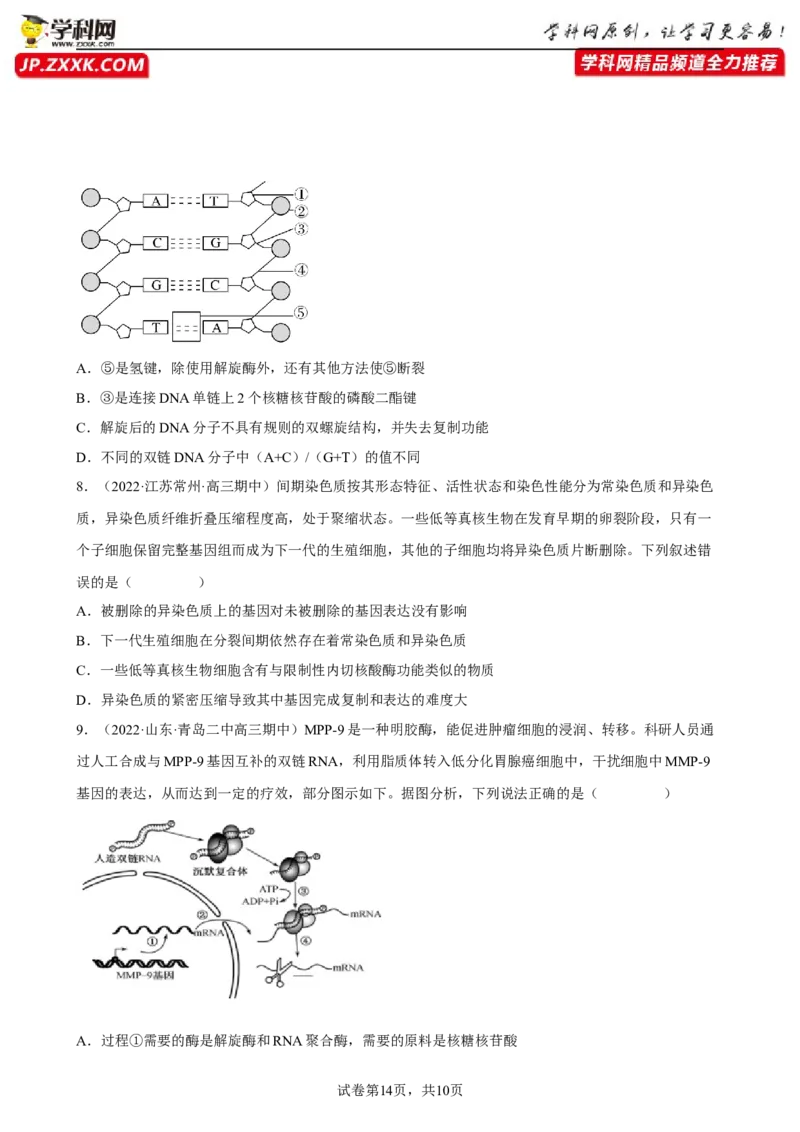 解密08遗传的分子学基础（分层训练)（原卷版）_新高考复习资料_2023年新高考复习资料_二轮复习_高频考点解密2023年高考生物二轮复习讲义+分层训练（全国通用）288808838