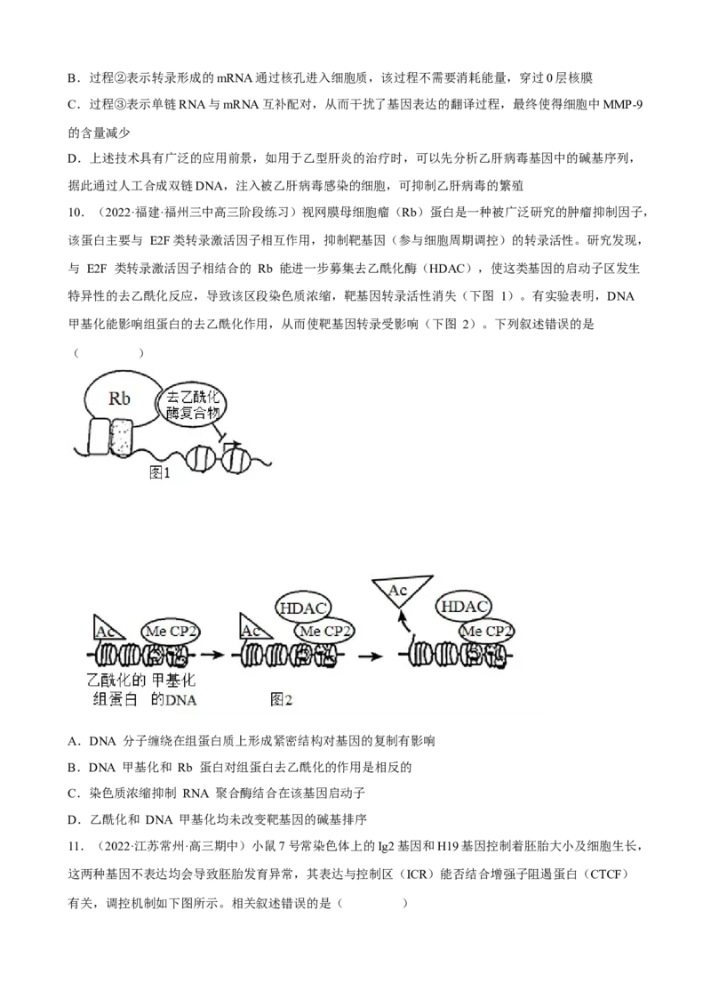 解密08遗传的分子学基础（分层训练)（原卷版）_新高考复习资料_2023年新高考复习资料_二轮复习_高频考点解密2023年高考生物二轮复习讲义+分层训练（全国通用）288808838