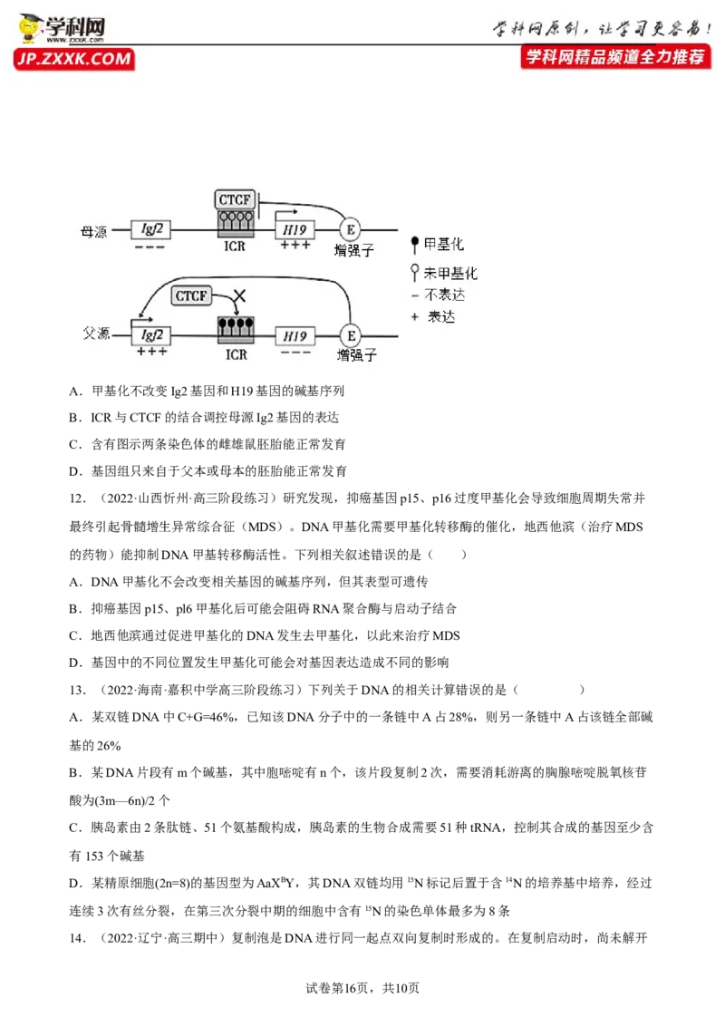 解密08遗传的分子学基础（分层训练)（原卷版）_新高考复习资料_2023年新高考复习资料_二轮复习_高频考点解密2023年高考生物二轮复习讲义+分层训练（全国通用）288808838