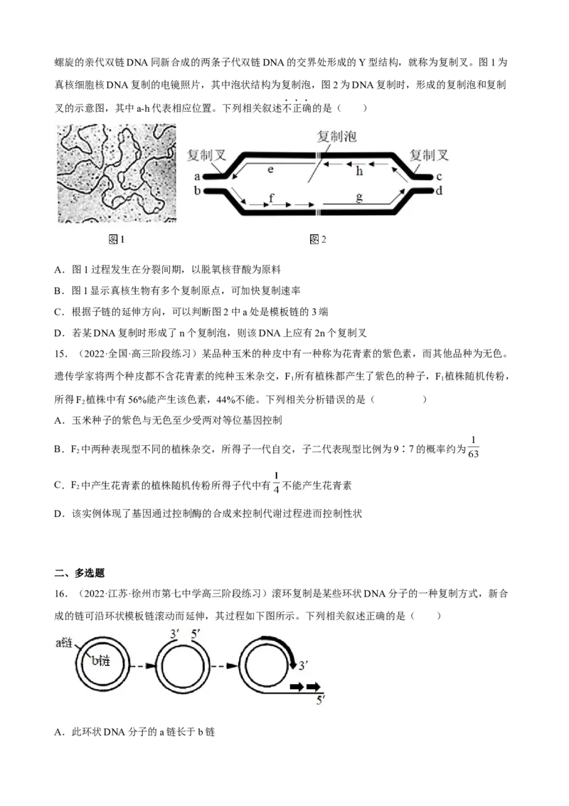 解密08遗传的分子学基础（分层训练)（原卷版）_新高考复习资料_2023年新高考复习资料_二轮复习_高频考点解密2023年高考生物二轮复习讲义+分层训练（全国通用）288808838