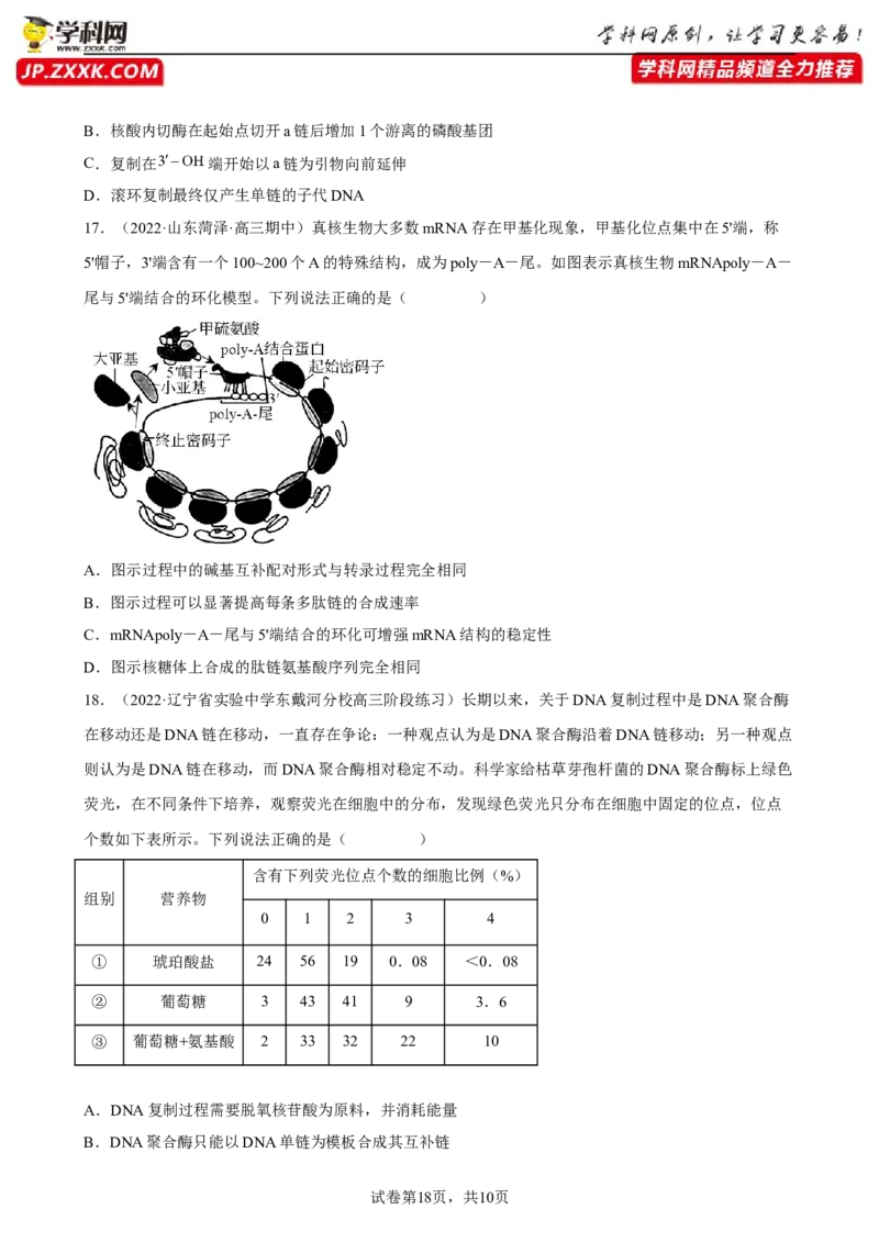 解密08遗传的分子学基础（分层训练)（原卷版）_新高考复习资料_2023年新高考复习资料_二轮复习_高频考点解密2023年高考生物二轮复习讲义+分层训练（全国通用）288808838