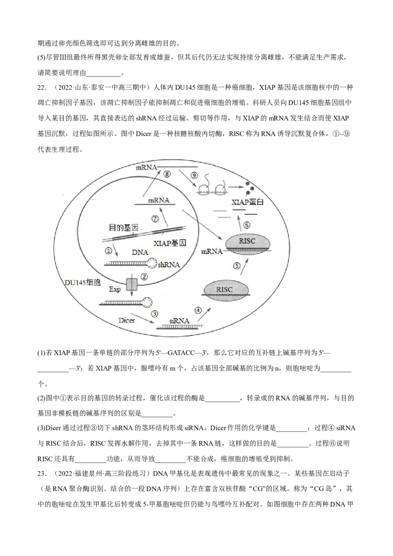 解密08遗传的分子学基础（分层训练)（原卷版）_新高考复习资料_2023年新高考复习资料_二轮复习_高频考点解密2023年高考生物二轮复习讲义+分层训练（全国通用）288808838