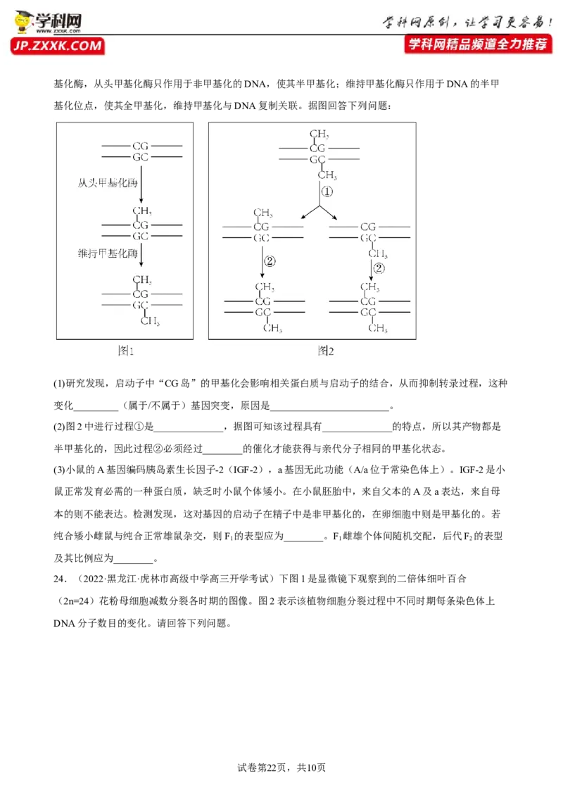 解密08遗传的分子学基础（分层训练)（原卷版）_新高考复习资料_2023年新高考复习资料_二轮复习_高频考点解密2023年高考生物二轮复习讲义+分层训练（全国通用）288808838