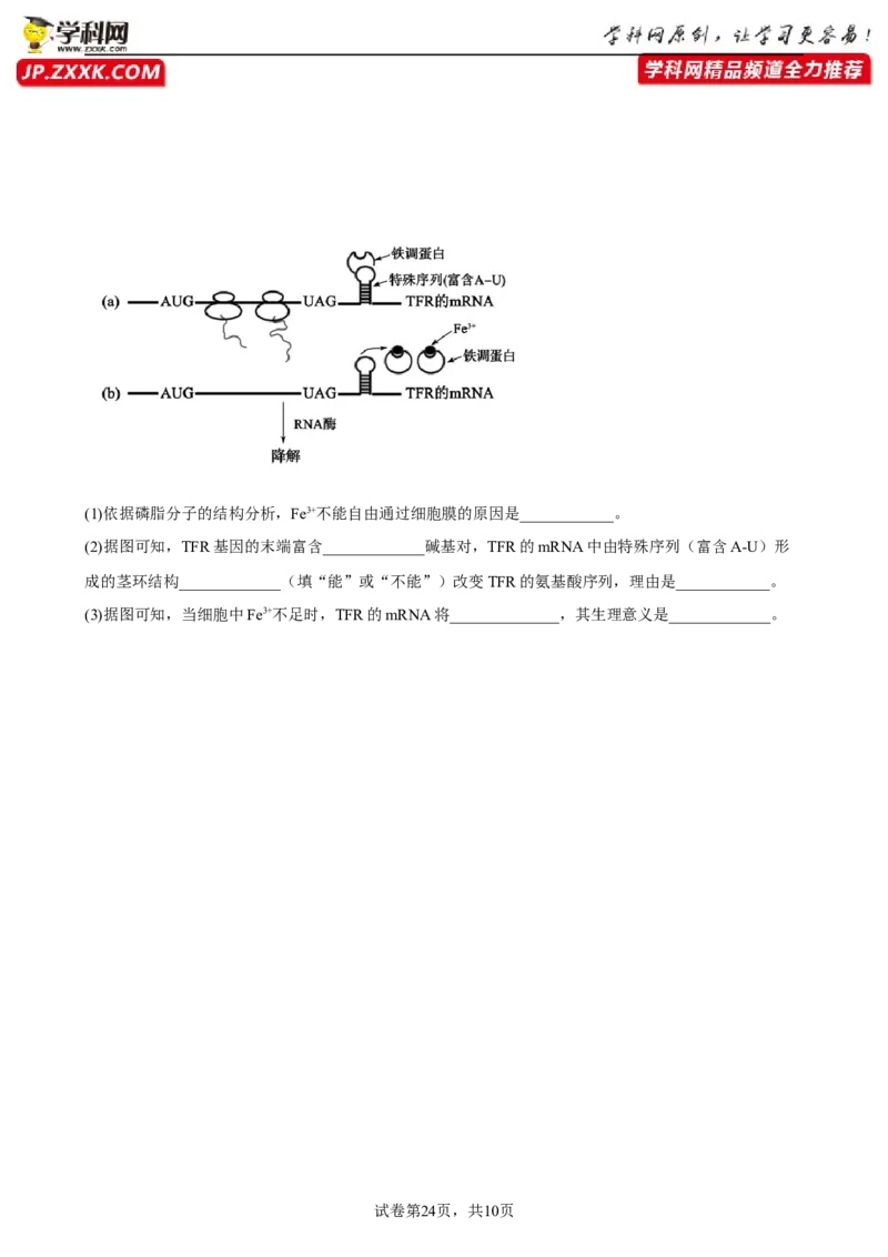 解密08遗传的分子学基础（分层训练)（原卷版）_新高考复习资料_2023年新高考复习资料_二轮复习_高频考点解密2023年高考生物二轮复习讲义+分层训练（全国通用）288808838