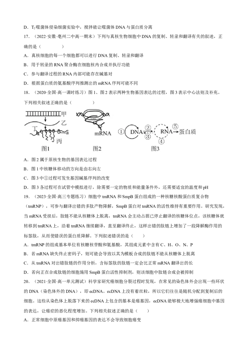 解密08遗传的分子学基础（分层训练)（原卷版）_新高考复习资料_2023年新高考复习资料_二轮复习_高频考点解密2023年高考生物二轮复习讲义+分层训练（全国通用）288808838