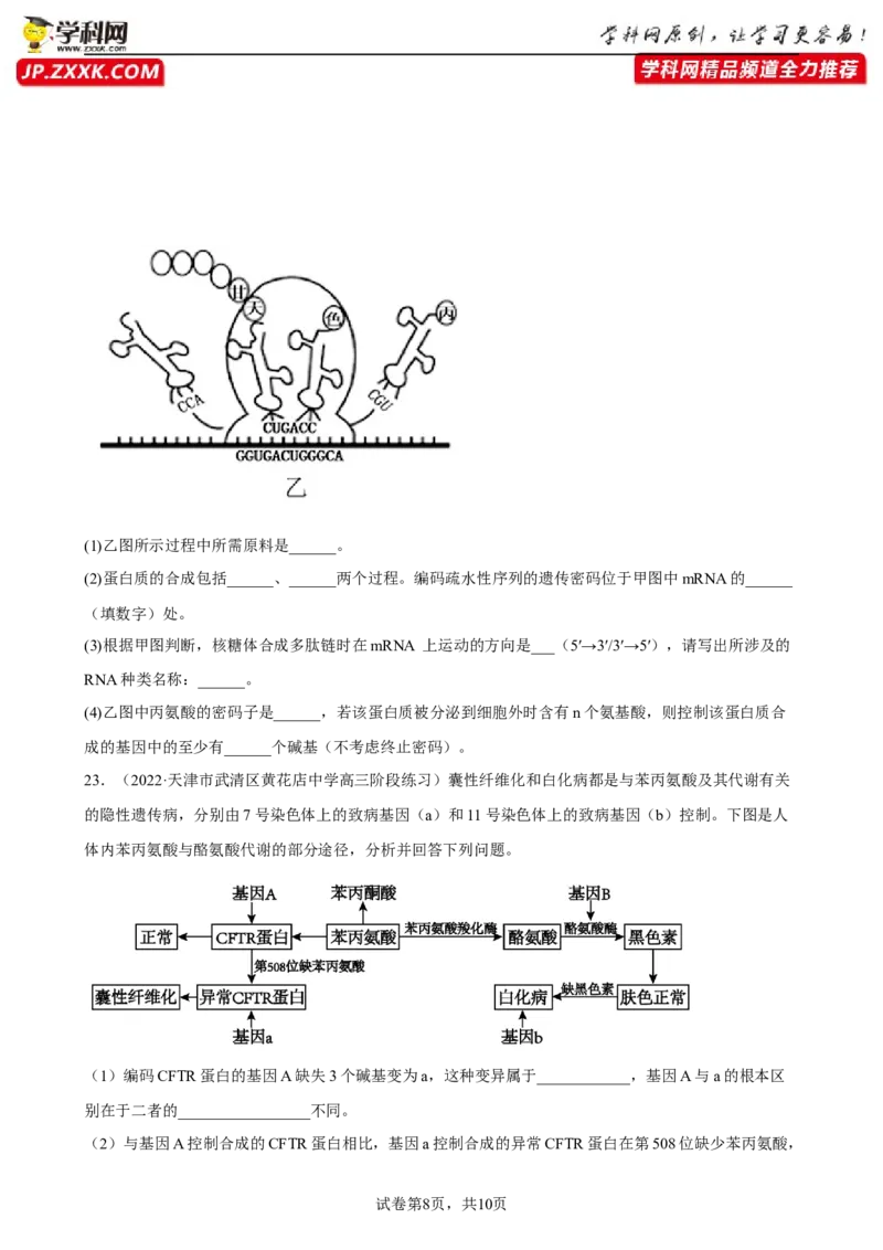 解密08遗传的分子学基础（分层训练)（原卷版）_新高考复习资料_2023年新高考复习资料_二轮复习_高频考点解密2023年高考生物二轮复习讲义+分层训练（全国通用）288808838