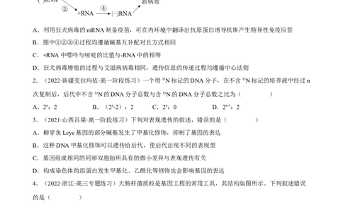 解密08遗传的分子学基础（分层训练)（原卷版）_新高考复习资料_2023年新高考复习资料_二轮复习_高频考点解密2023年高考生物二轮复习讲义+分层训练（全国通用）288808838