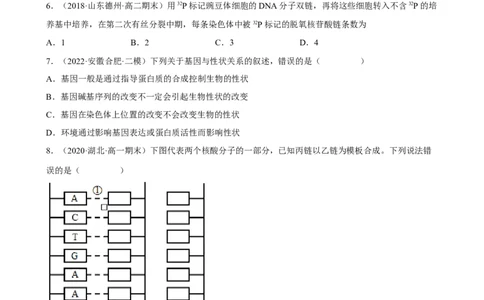 解密08遗传的分子学基础（分层训练)（原卷版）_新高考复习资料_2023年新高考复习资料_二轮复习_高频考点解密2023年高考生物二轮复习讲义+分层训练（全国通用）288808838