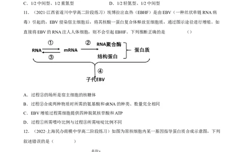 解密08遗传的分子学基础（分层训练)（原卷版）_新高考复习资料_2023年新高考复习资料_二轮复习_高频考点解密2023年高考生物二轮复习讲义+分层训练（全国通用）288808838