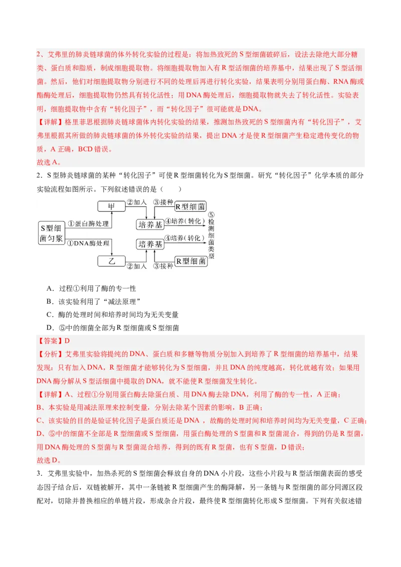考点通关卷19DNA是主要的遗传物质（解析版）_2025年新高考资料_一轮复习_2025年高考生物一轮复习考点通关卷（新高考通用）