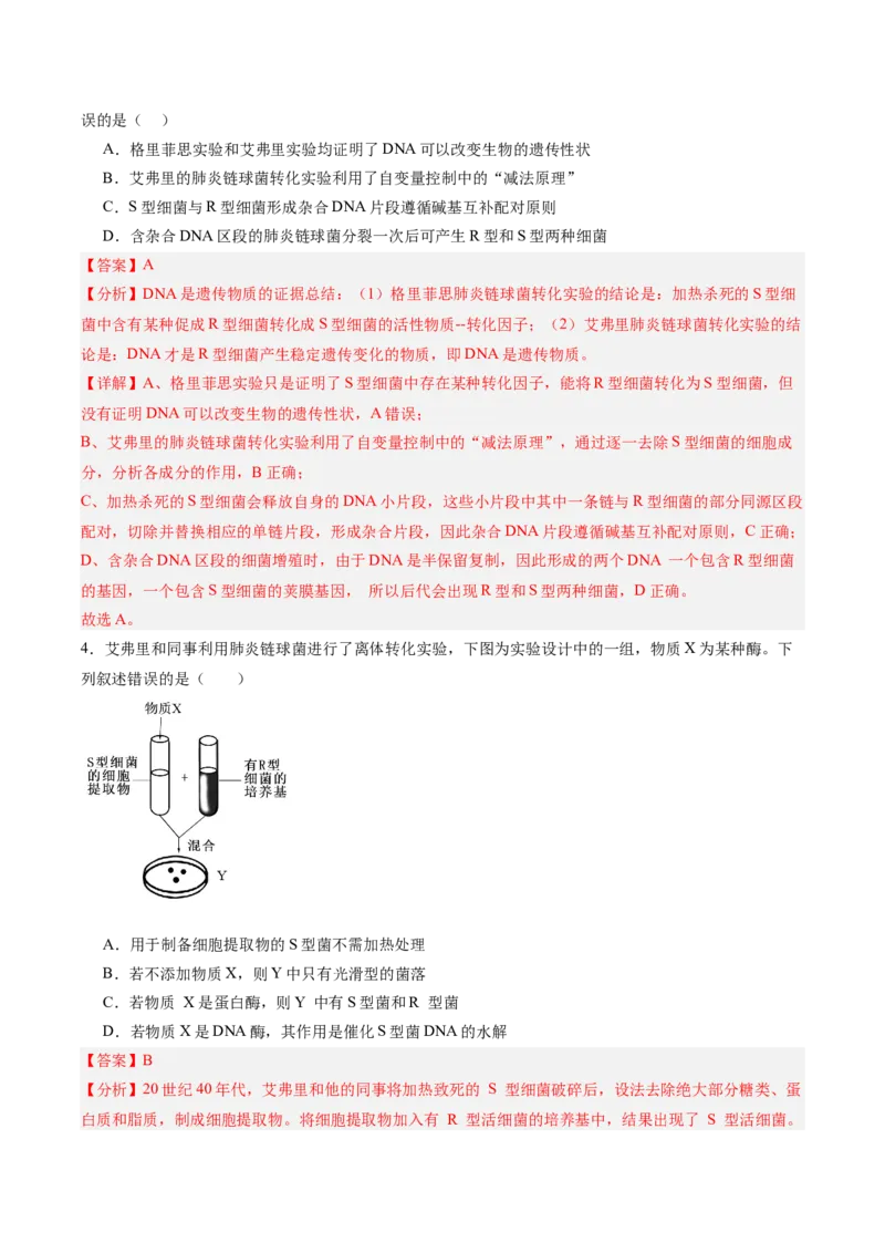 考点通关卷19DNA是主要的遗传物质（解析版）_2025年新高考资料_一轮复习_2025年高考生物一轮复习考点通关卷（新高考通用）