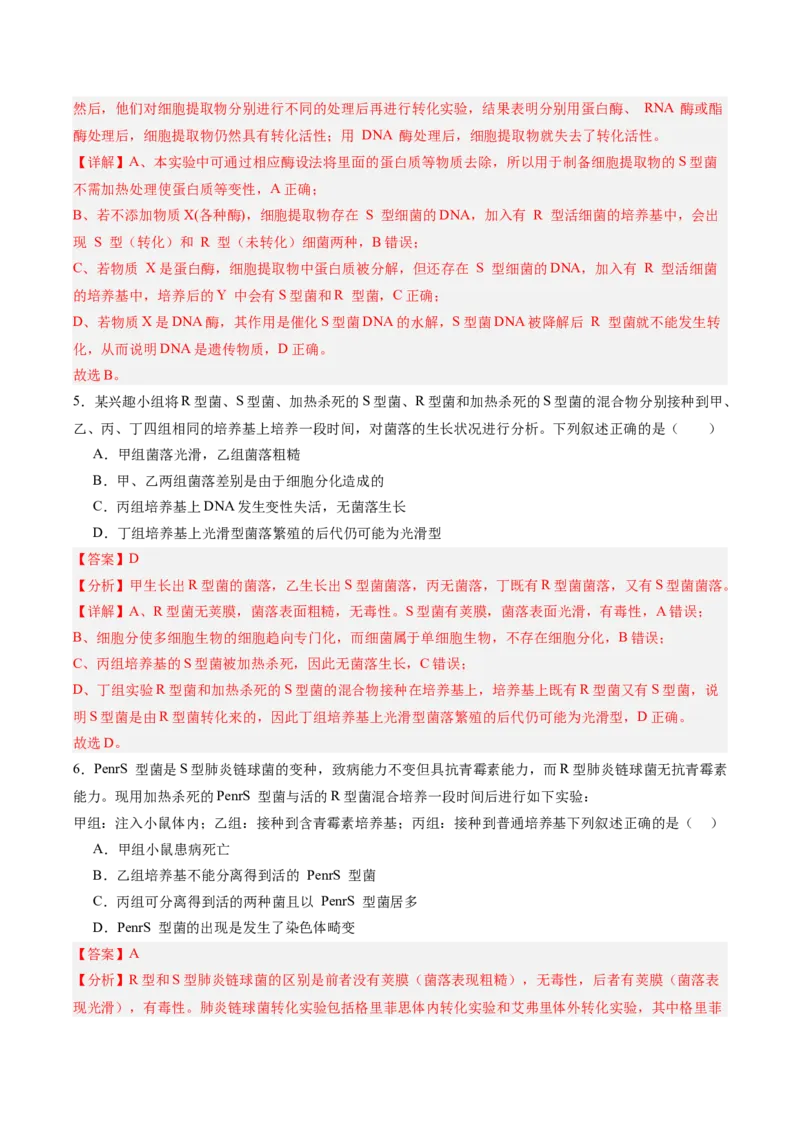 考点通关卷19DNA是主要的遗传物质（解析版）_2025年新高考资料_一轮复习_2025年高考生物一轮复习考点通关卷（新高考通用）