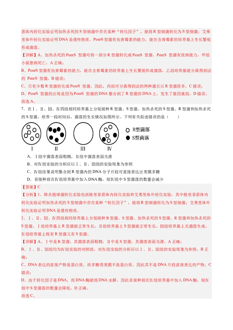 考点通关卷19DNA是主要的遗传物质（解析版）_2025年新高考资料_一轮复习_2025年高考生物一轮复习考点通关卷（新高考通用）