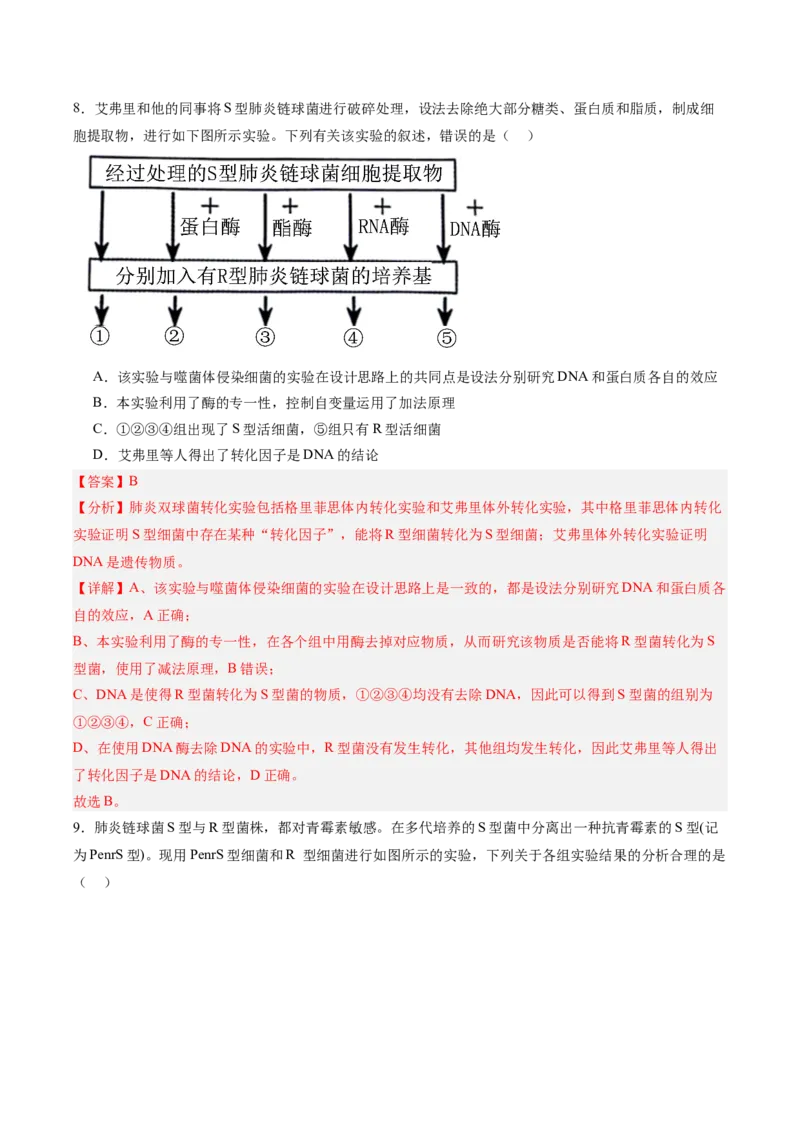 考点通关卷19DNA是主要的遗传物质（解析版）_2025年新高考资料_一轮复习_2025年高考生物一轮复习考点通关卷（新高考通用）