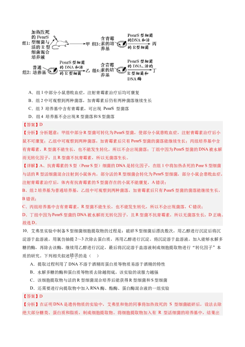 考点通关卷19DNA是主要的遗传物质（解析版）_2025年新高考资料_一轮复习_2025年高考生物一轮复习考点通关卷（新高考通用）