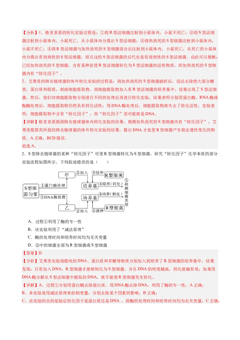 考点通关卷19DNA是主要的遗传物质（解析版）_2025年新高考资料_一轮复习_2025年高考生物一轮复习考点通关卷（新高考通用）