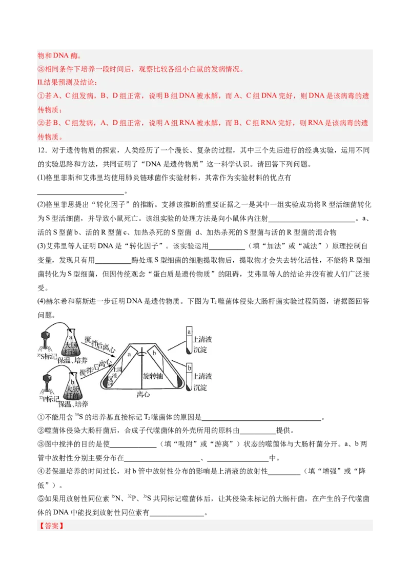 考点通关卷19DNA是主要的遗传物质（解析版）_2025年新高考资料_一轮复习_2025年高考生物一轮复习考点通关卷（新高考通用）