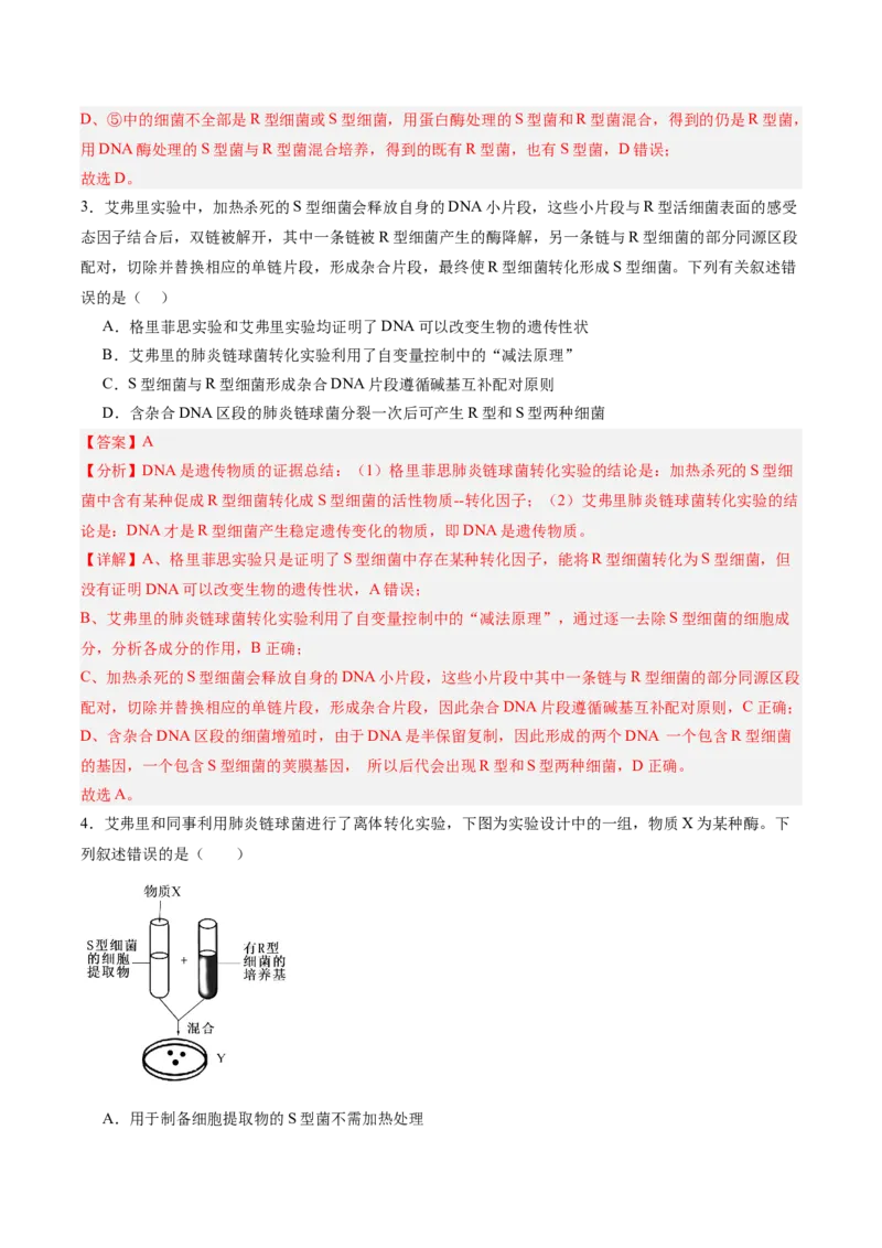 考点通关卷19DNA是主要的遗传物质（解析版）_2025年新高考资料_一轮复习_2025年高考生物一轮复习考点通关卷（新高考通用）
