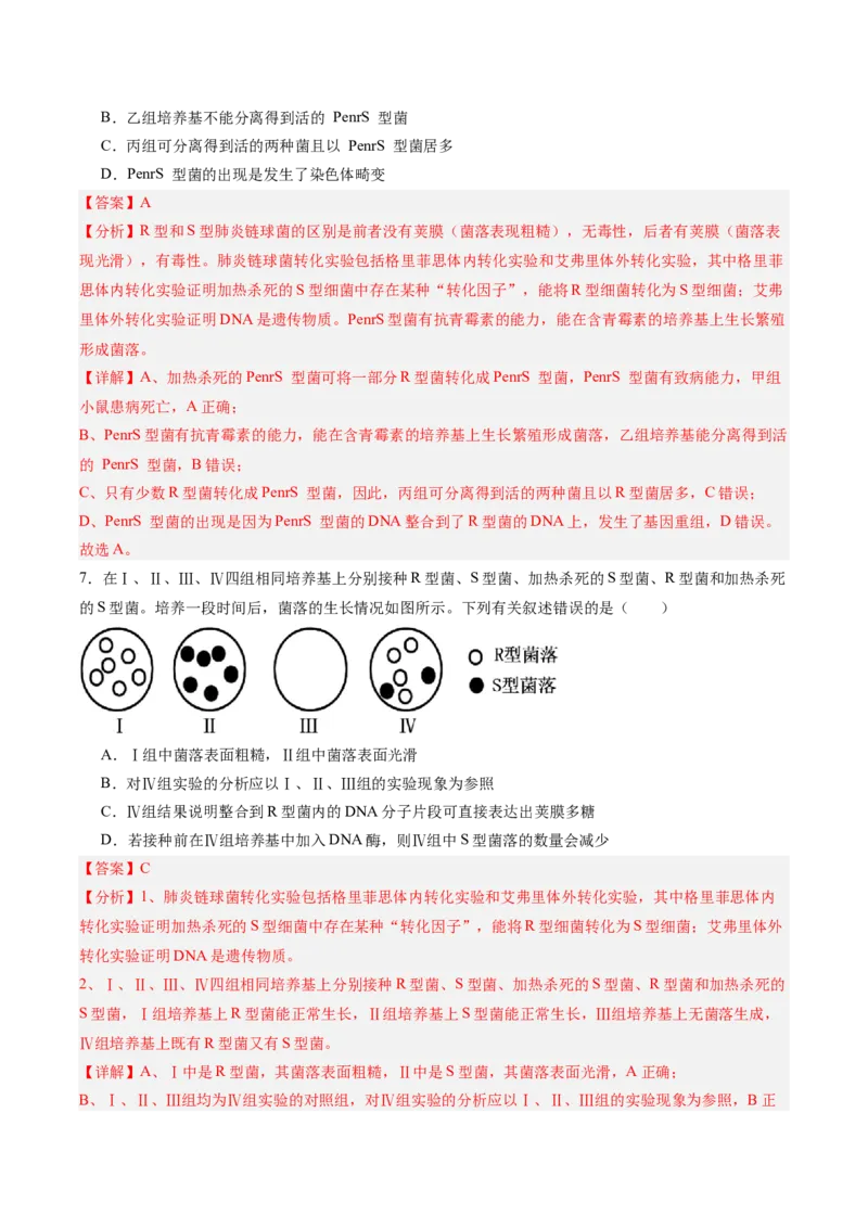 考点通关卷19DNA是主要的遗传物质（解析版）_2025年新高考资料_一轮复习_2025年高考生物一轮复习考点通关卷（新高考通用）