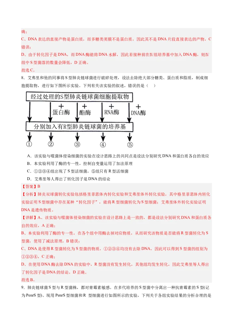 考点通关卷19DNA是主要的遗传物质（解析版）_2025年新高考资料_一轮复习_2025年高考生物一轮复习考点通关卷（新高考通用）