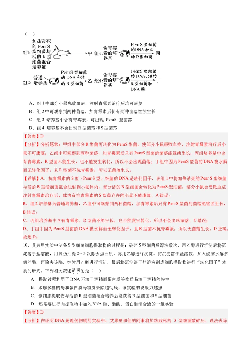 考点通关卷19DNA是主要的遗传物质（解析版）_2025年新高考资料_一轮复习_2025年高考生物一轮复习考点通关卷（新高考通用）