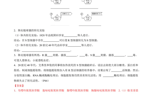 考点通关卷19DNA是主要的遗传物质（解析版）_2025年新高考资料_一轮复习_2025年高考生物一轮复习考点通关卷（新高考通用）