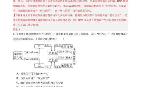 考点通关卷19DNA是主要的遗传物质（解析版）_2025年新高考资料_一轮复习_2025年高考生物一轮复习考点通关卷（新高考通用）