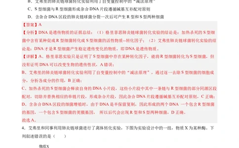考点通关卷19DNA是主要的遗传物质（解析版）_2025年新高考资料_一轮复习_2025年高考生物一轮复习考点通关卷（新高考通用）
