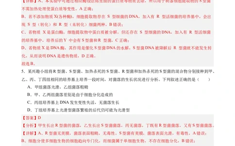 考点通关卷19DNA是主要的遗传物质（解析版）_2025年新高考资料_一轮复习_2025年高考生物一轮复习考点通关卷（新高考通用）