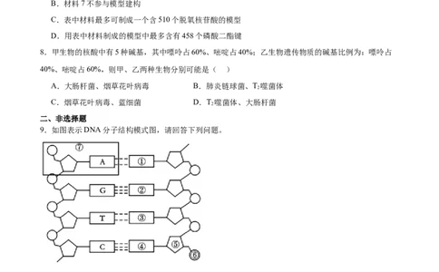 考点通关卷20DNA结构、复制与基因的本质（原卷版）_2025年新高考资料_一轮复习_2025年高考生物一轮复习考点通关卷（新高考通用）