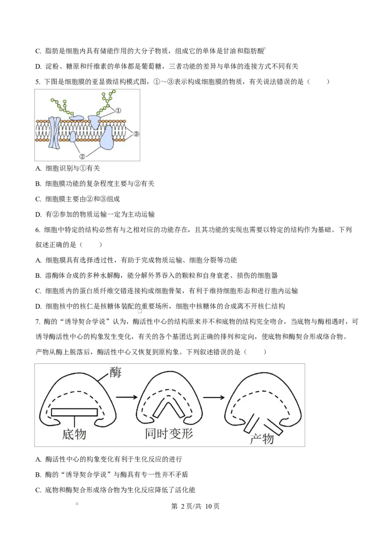 黑龙江省龙东地区2024-2025学年高一上学期期末考试生物试卷Word版无答案_2025年02月试卷_0219黑龙江省龙东地区2024-2025学年高一上学期1月期末考试