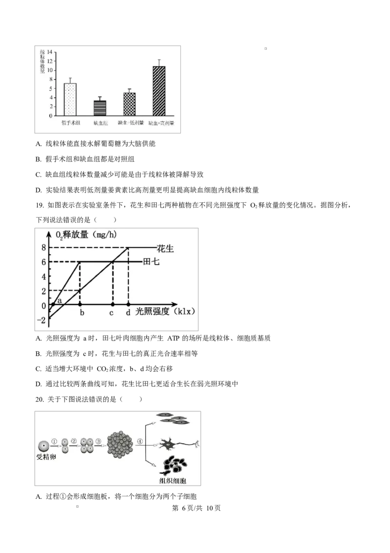 黑龙江省龙东地区2024-2025学年高一上学期期末考试生物试卷Word版无答案_2025年02月试卷_0219黑龙江省龙东地区2024-2025学年高一上学期1月期末考试