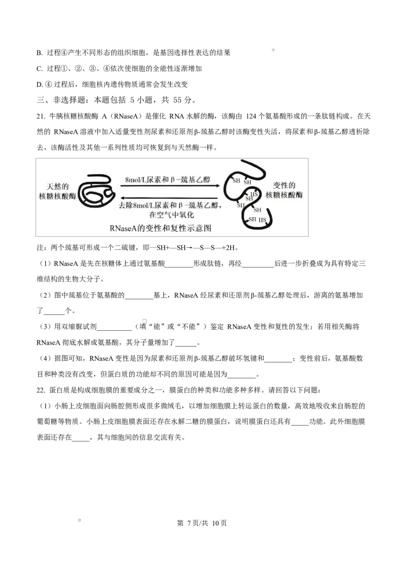 黑龙江省龙东地区2024-2025学年高一上学期期末考试生物试卷Word版无答案_2025年02月试卷_0219黑龙江省龙东地区2024-2025学年高一上学期1月期末考试