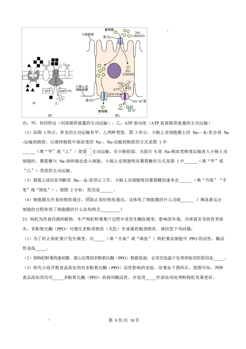 黑龙江省龙东地区2024-2025学年高一上学期期末考试生物试卷Word版无答案_2025年02月试卷_0219黑龙江省龙东地区2024-2025学年高一上学期1月期末考试